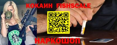 дмт Гай