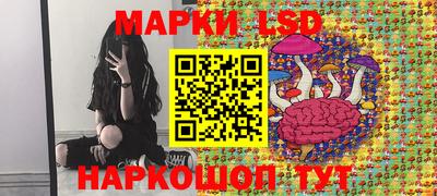дмт Гай