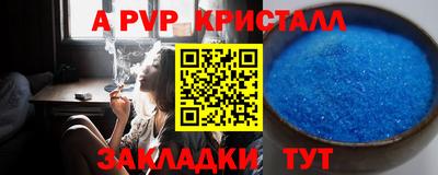 дмт Гай