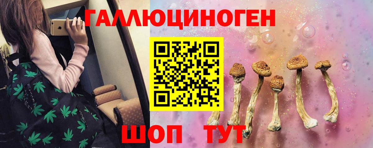 Галлюциногенные грибы MAGIC MUSHROOMS  Вход с VPN  цена   Джанкой  Галлюциногенные грибы Cubensis 