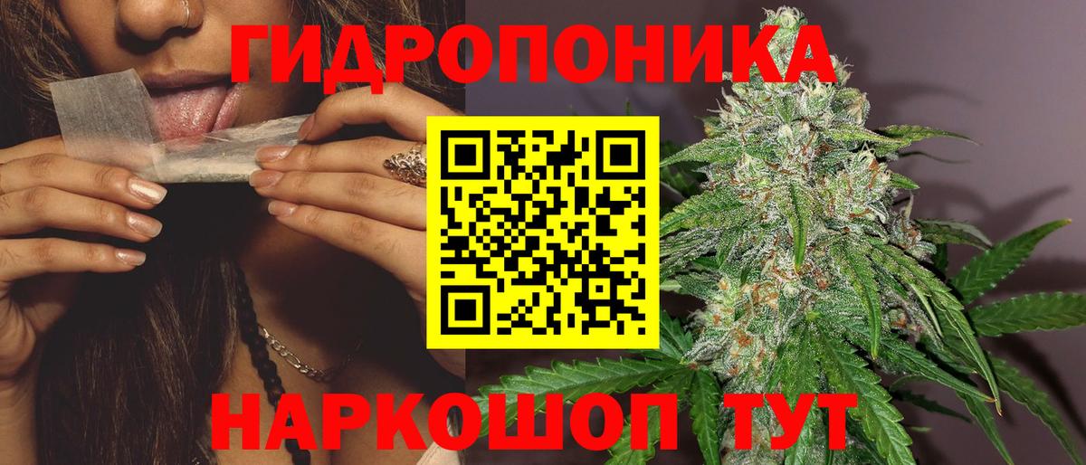 Каннабис OG Kush Джанкой